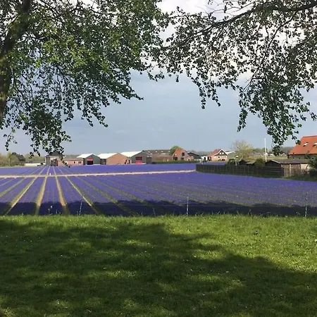 Strand83 Holiday home