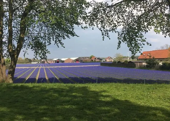 Strand83 Holiday home