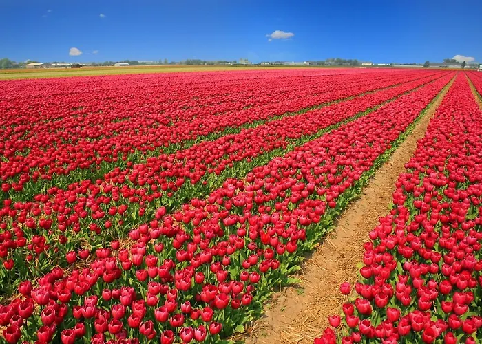 Holiday home Strand83 *