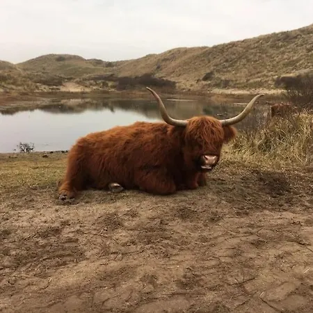 Strand83 * Egmond aan Zee