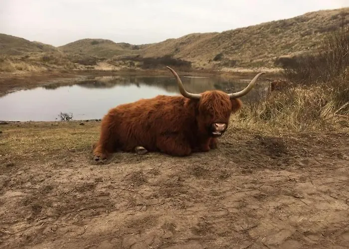 Strand83 * Egmond aan Zee